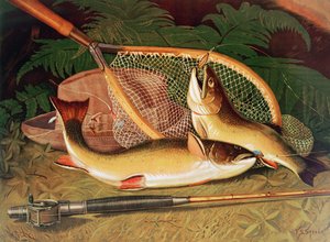 Nature morte avec une truite saumonée, une canne et un filet